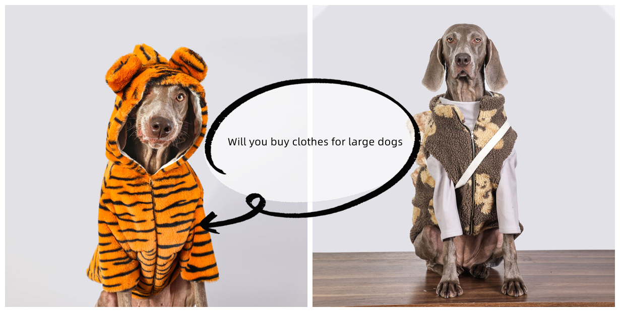 large dog clothes