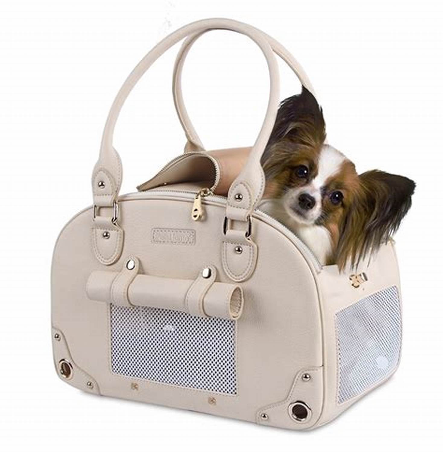 Переноска pet. Сумка for Pets. Переноски для собак кошек от Gucci. Сумочки мини петс. Dog it Design переноска.